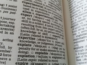 expert, expertise, yandynot